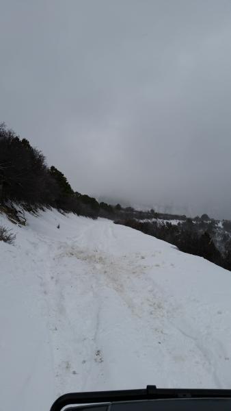 JQS Trail,m mid January